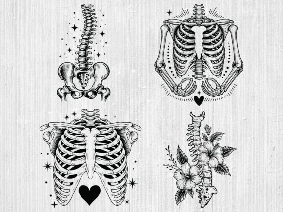 Floral Skeleton Anatomy SVG Bundle Review
